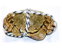 螃蟹重量分選機(jī)_大閘蟹稱(chēng)重分揀機(jī)運(yùn)作視頻方案